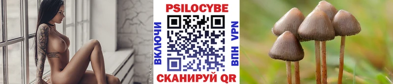 хочу наркоту  Красный Кут  Галлюциногенные грибы ЛСД 